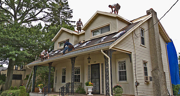 Best Roof Repair Services  in St Marys, OH